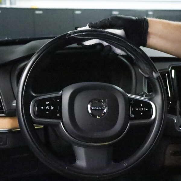 KOCH Interior Scrubber